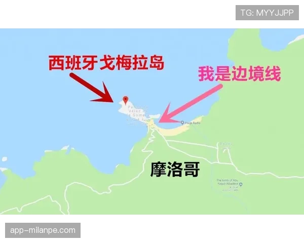 赖斯如何重塑现代6号位的战术角色与能力边界